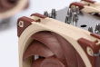 Noctua NH-U12A computer cooling component Processor Cooler 12 cm Beige, Brown, Silver 1 pc(s)