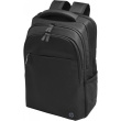 HP Professional 43,9cm 17,3