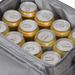 Riva Kühltasche Torngat 11L grau 5712