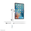 Tablet stand Белый DS15-545WH1 Neomounts