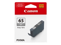 CANON 1LB CLI-65 GY EUR/OCN Ink Cartridge