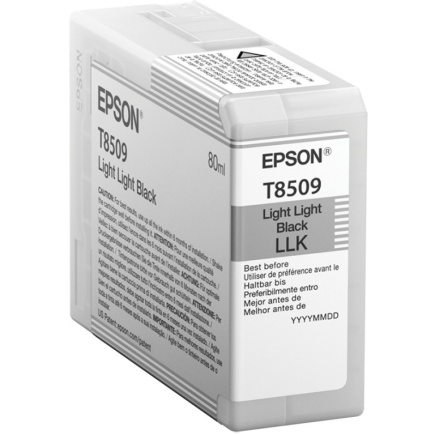 Epson C13T850900 light Must