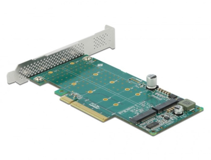 DeLOCK PCI Express x8 Card to 2 x internal NVMe M.2 Key M - Bifurcation - Low Profile Form Factor