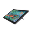 HUION Kamvas 24 Plus graphic tablet 5080 lpi 526,85 x 296,35 mm USB-C Must