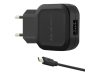 QOLTEC Charger 12W 5V 2.4A USB + Micro USB cable