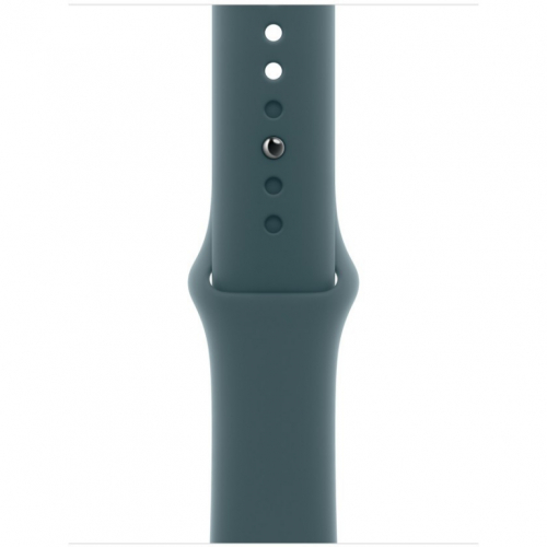 APPLE 42mm Lake Green Sport Band - S/M