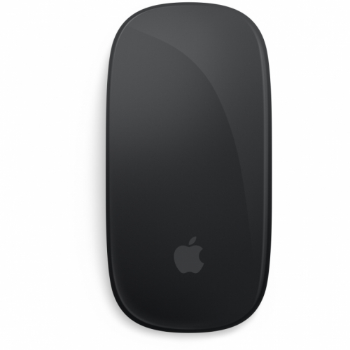 APPLE Magic Mouse - Black Multi-Touch Surface 872156