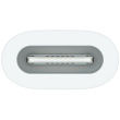 APPLE USB-C to Apple Pencil Adapter