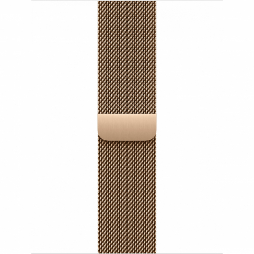 APPLE 40mm Gold Milanese Loop