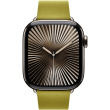 APPLE 42mm Chartreuse Modern Buckle - Medium