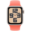 APPLE 40mm Tangerine Sport Band - M/L