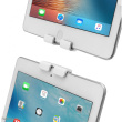 Neomounts FL15-625WH1 Tablet-Bodenständer für 7.9-11'' Tablets White
