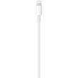 Apple USB-C auf Lightning Kabel 1M (MM0A3ZM/A) Retail