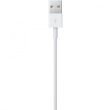 Apple Lightning - USB Kabel 1M Retail