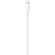 Apple USB-C auf Lightning Kabel 1M (MUQ93ZM/A) Retail