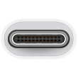 APPLE USB-C to USB Adapter