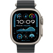 APPLE 49mm Black OceanBand - Natural Titanium Finish