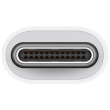 APPLE USB-C to USB Adapter