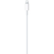 Apple USB-C auf Lightning Kabel 1M (MUQ93ZM/A) Retail