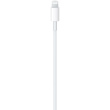 Apple USB-C auf Lightning Kabel 1M (MM0A3ZM/A) Retail