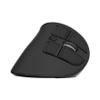 Natec Mouse Euphonie Pro BT 5.00, Wireless, Black NMY-2291