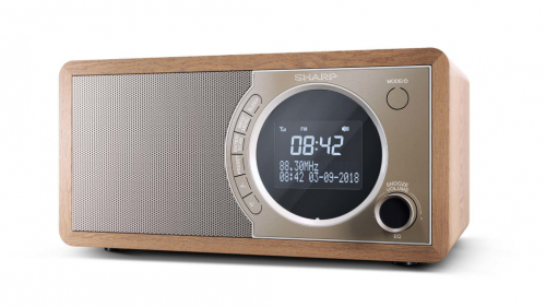 Sharp DR-450 Personal Digital Brown, Stainless steel