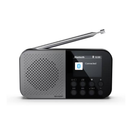 Sharp OSAKA Pocket/Handheld Portable Digital Radio | DR-P520(GY) | Bluetooth