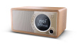 Sharp DR-450 Personal Digital Brown, Stainless steel