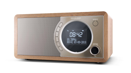 Sharp DR-450 Personal Digital Brown, Stainless steel