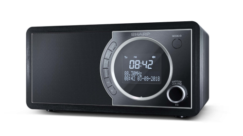 Sharp DR-450 Personal Digital Black, Stainless steel