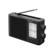 Sony | Analog Radio | ICF-506 | 5 W | Black 200667