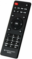 Ferguson Regent i351s Internet Digital (BLACK)