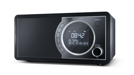 Sharp DR-450 Personal Digital Black, Stainless steel