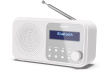 Sharp DR-P420 Portable Digital White