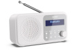 Sharp DR-P420 Portable Digital White