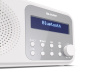 Sharp DR-P420 Portable Digital White