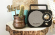 Muse | M-055RB | AUX in | Черный/Gold | Portable radio