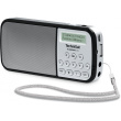 Technisat TechniRadio RDR silber