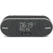 Technisat DigitRadio BT 2 anthrazit/schwarz