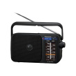 Panasonic | Portable Radio | RF-2400DEG-K | Черный