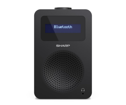 Sharp DR-430 Personal Digital Must