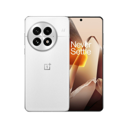 OnePlus Smartphone 13 5G 16/512 GB CPH2653 Arctic Dawn