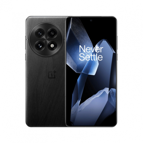 OnePlus 13 17.3 cm (6.82