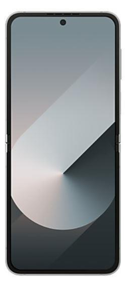 Mobile phone GALAXY Z FLIP6/256GB SILVER SM-F741B SAMSUNG 1433468