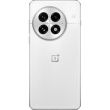 OnePlus 13 17.3 cm (6.82