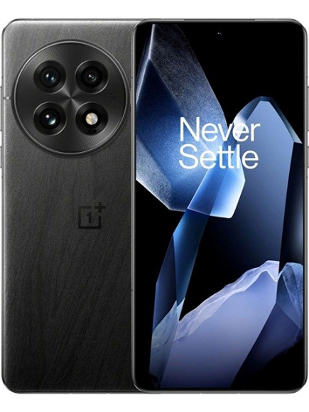 OnePlus 13 17.3 cm (6.82