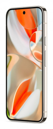 Google Pixel 9 Pro XL 17.3 cm (6.8