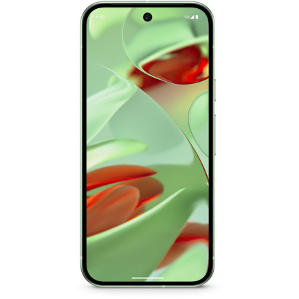 Google Pixel 9 256GB 12RAM 5G Wintergreen