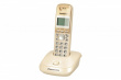 Panasonic Panasonic KX-TG2511 Dect/Coffee