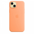 Apple Silicone case with MagSafe for iPhone 15 Plus - orange sorbet